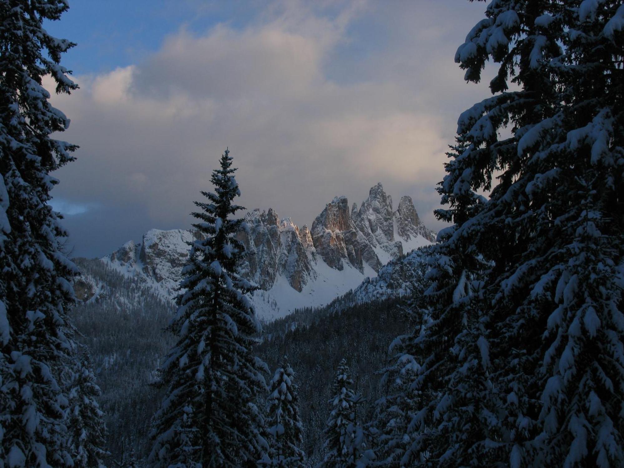 Ciasa Vervei Cortina d'Ampezzo Exterior foto